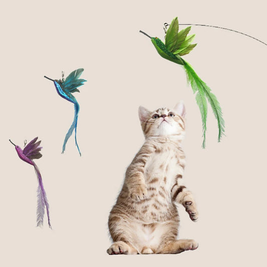 Cat Catcher Head Feather Bird Replacement Heads Simulation Bird Cat Toy Kitten Wand Toy Interactive Cat Feather Toys